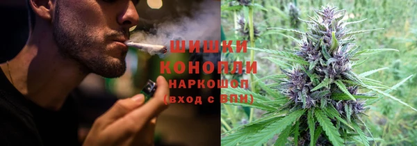 ECSTASY Покачи
