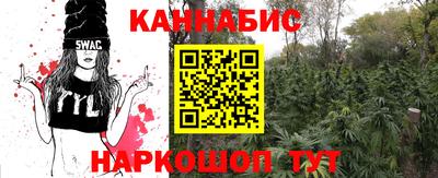 стафф Балаково