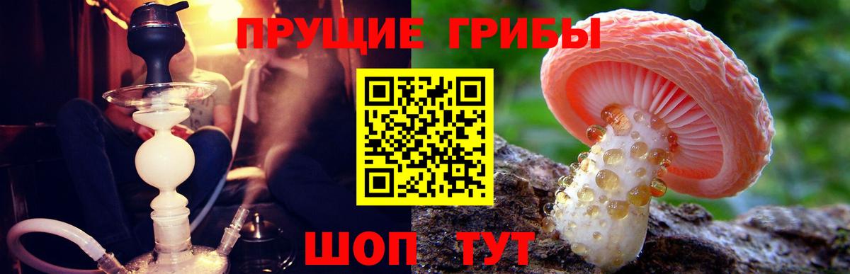 Псилоцибиновые грибы Cubensis  даркнет сайт  Белебей  Вход с VPN  Галлюциногенные грибы Psilocybe 